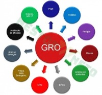 redimencionar-520-520-gro-2.jpg